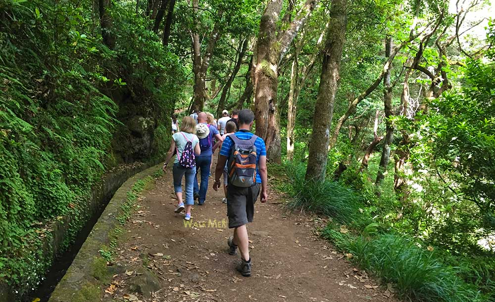 Group of hikers on a forest trail