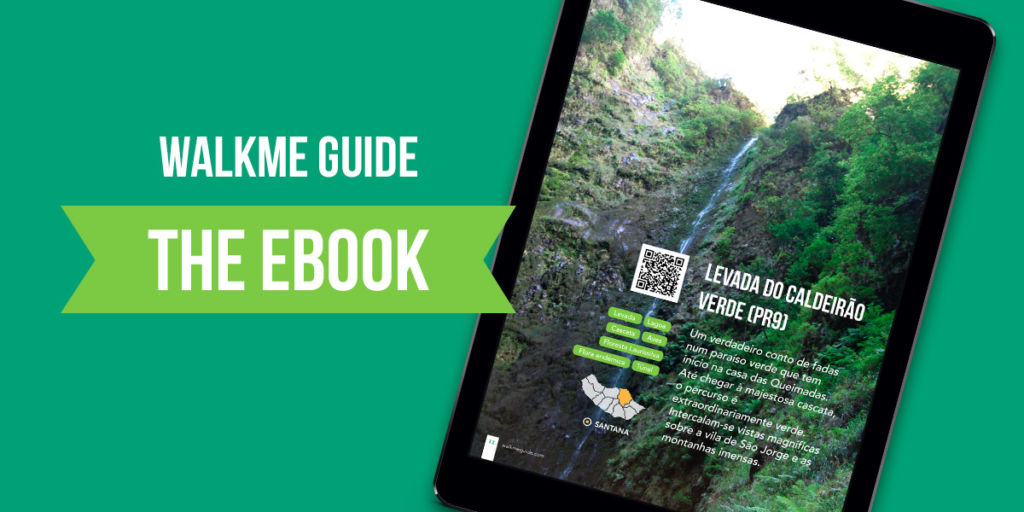 WalkMe Guide Ebook